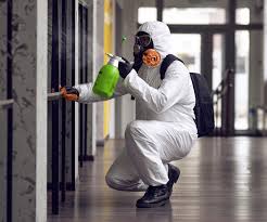 Trusted Pepperdine University, CA Mold Prevention & Removal  Experts